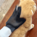 Guante Quita Pelo Para Mascotas FurGlow