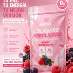 Colageno Hidrolizado 500 G Zentra+