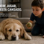 Multivitaminico 8 En 1 Para Perro