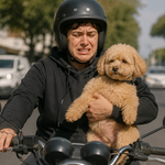 Cápsula Transportadora para Mascotas PetNova