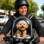 Cápsula Transportadora para Mascotas PetNova